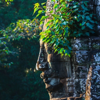 402 x 402 The Bayon Siem Reap