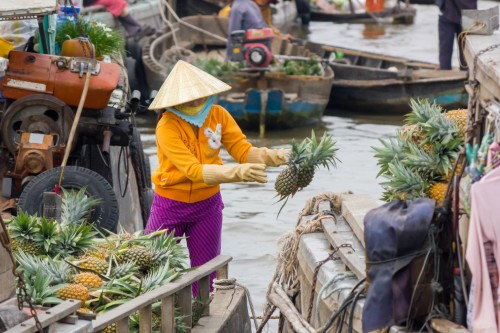 500 x 333 Canal Mekong Delta 1