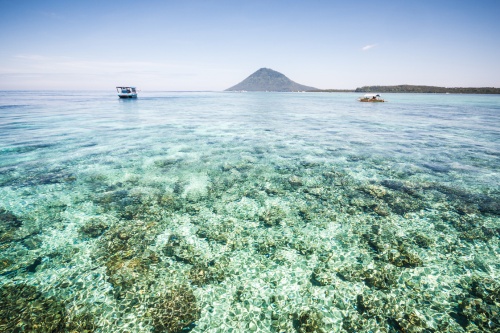 500 x 333 Coral Bunaken Marine Park Sulawesi