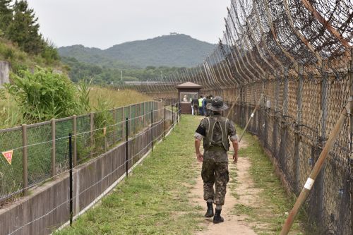 500 x 333 Soldier in the Demilitarized Zone