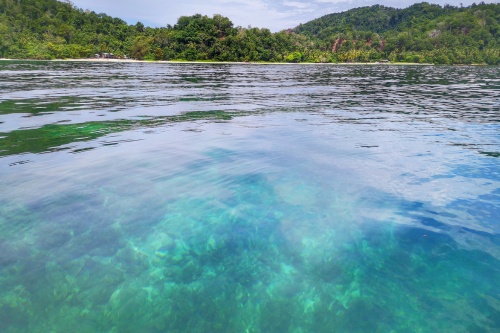 500 x 333 Underwater life Gaya Island