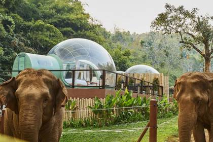 Anantara Golden Triangle Elephant Camp Exterior