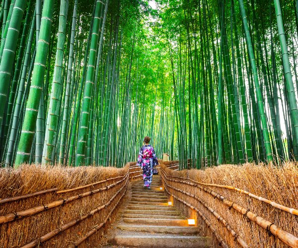 Arashiyama bamboo forest Japan