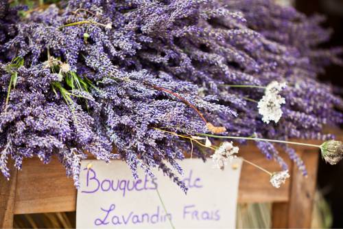 Avignon market 500x333 1