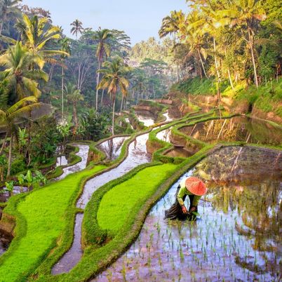 Bali