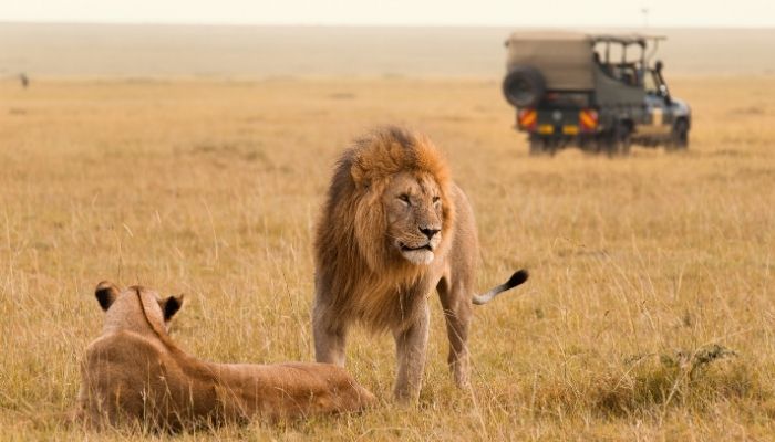 Best Time to Visit Kenya 4 1