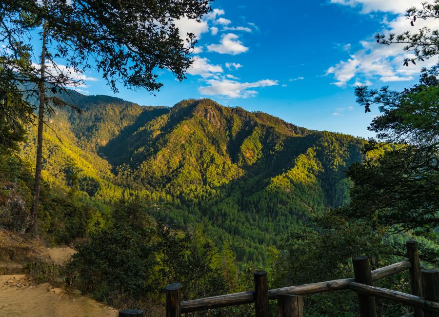 Postcard like mountain view covred in green in Bhutan