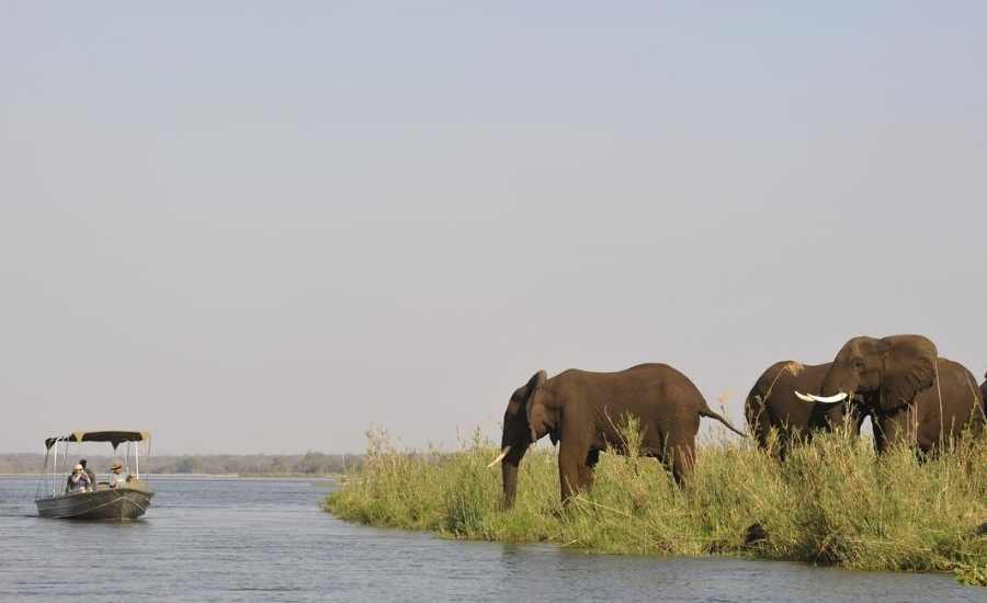 Boat safaris Chiawa Camp