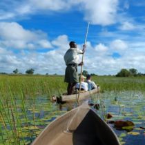 Botswana Okavango Listing