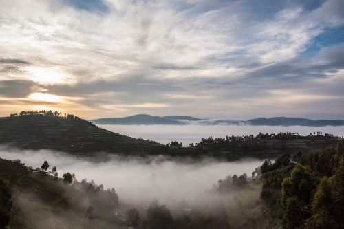 Bwindi Impenetrable Forest Uganda 2