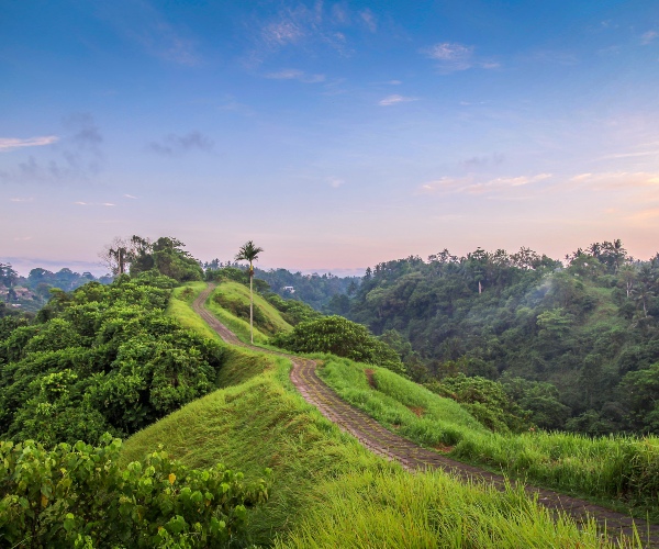 Campuhan Ridge Walk Ubud 1