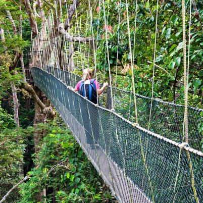 Canopy Walk, Danum Valley, Borneo