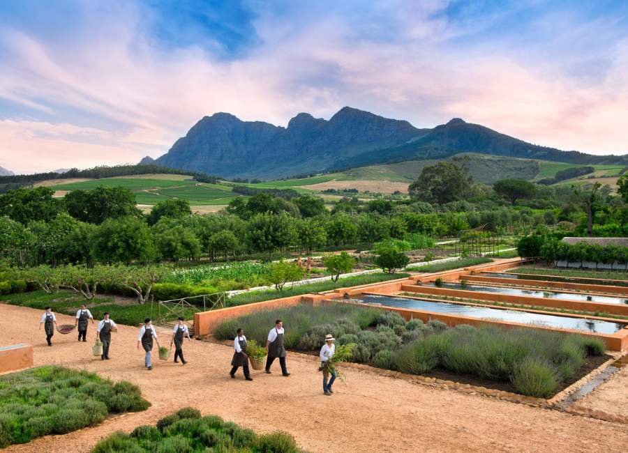 Cape winelands