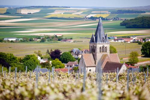 Champagne Region 500 x 333