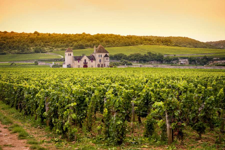 Chateau with vineyards Burgundy France