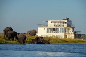 Chobe Princess Small 300x200 1