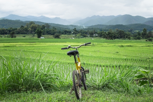 Cycling in the countryside Hoi An 1