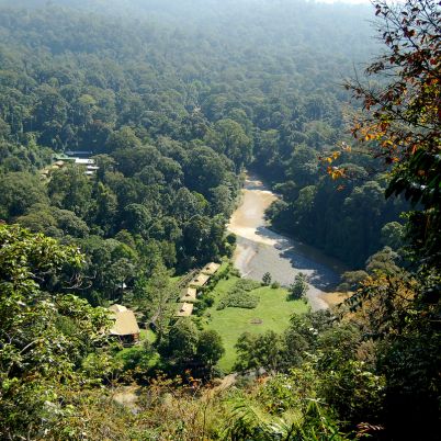 Danum Valley, Borneo