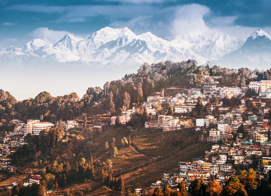 Darjeeling Himalaya