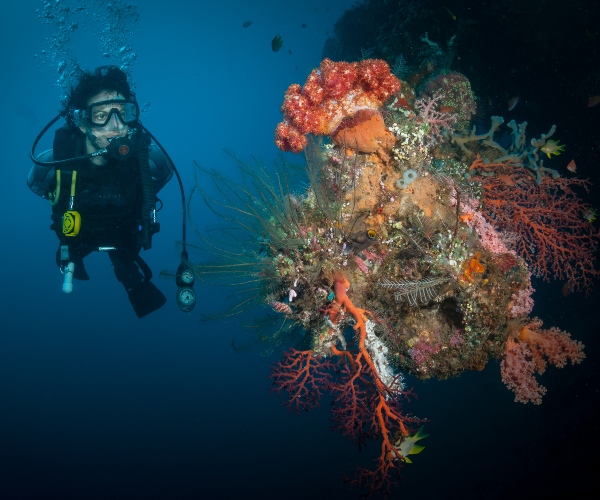 Diving off Tulamben Bali