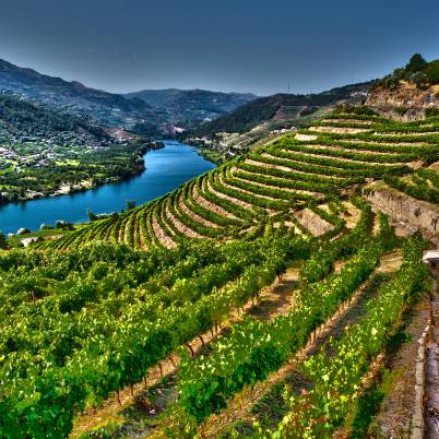 Douro Valley 402x402 (1)