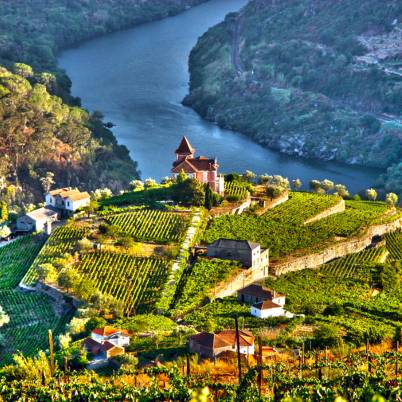 Douro Valley 402x402