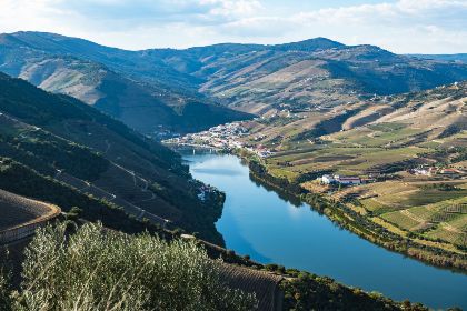 Douro Valley Portugal 1 1