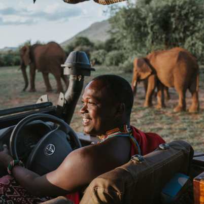 Elephant Bedroom 402x402 Kenya