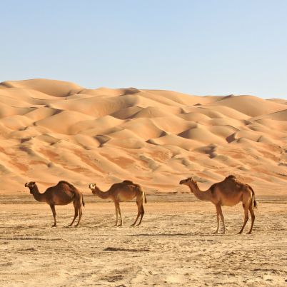 Empty Quarter, Oman