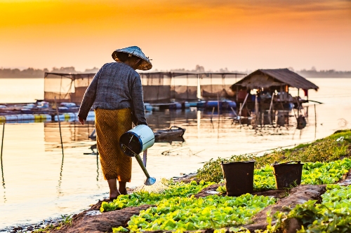 Farmer next to Mekong river Laos