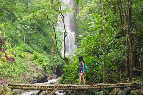 Forest walk in Munduk Bali