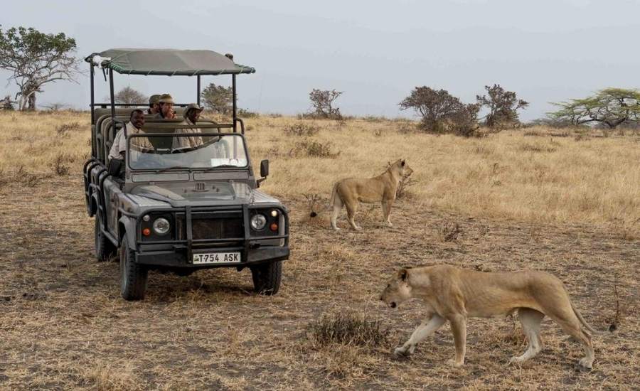 Game drive Lake Manze Camp