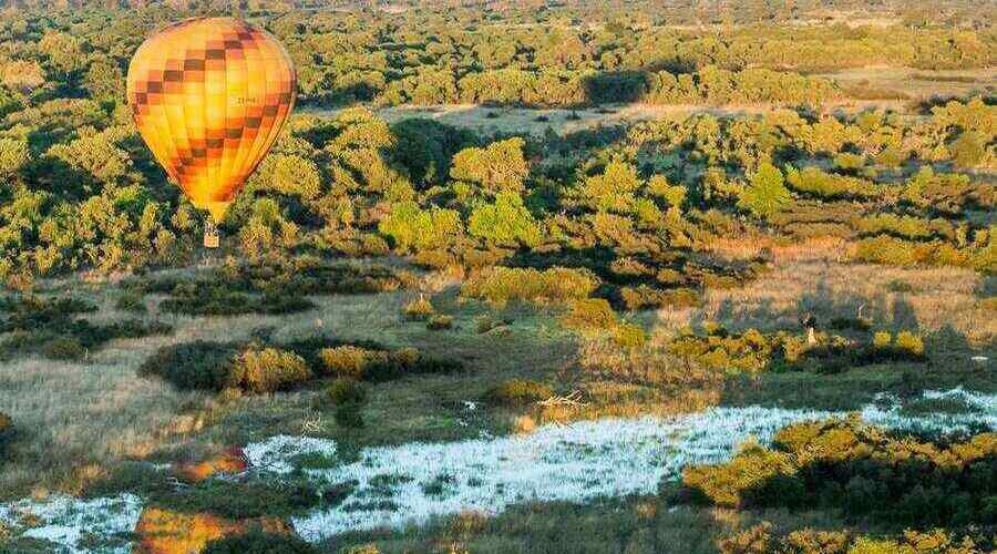 Hot Air Balloon