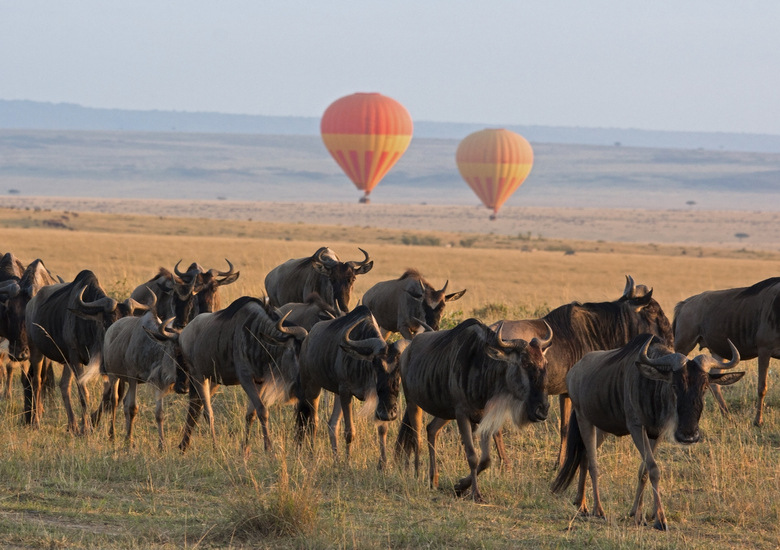 Hot Air Balloon Kenya 780