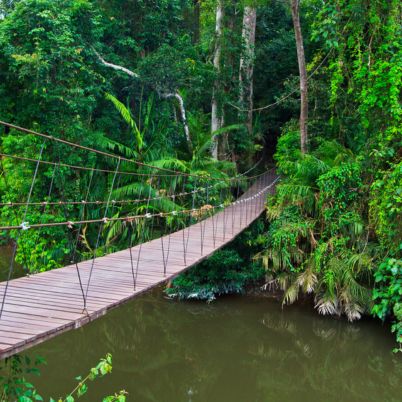 Khao Yai National Park, Thailand