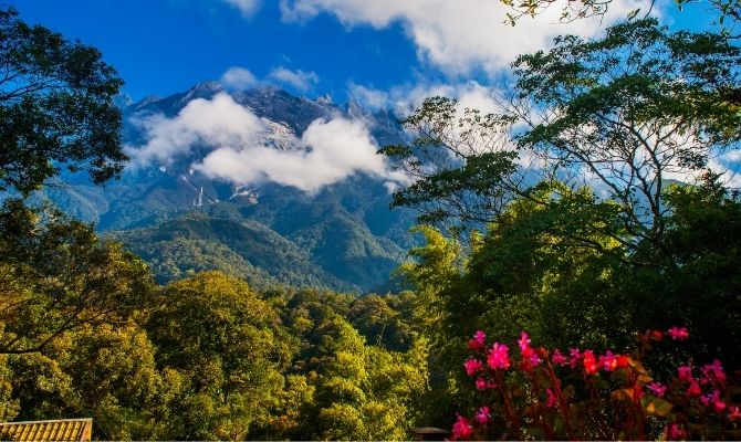 Kinabalu National Park, Sabah, Borneo