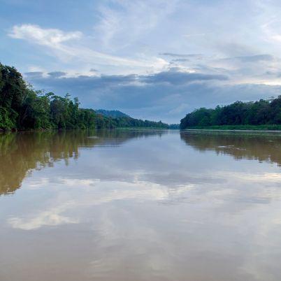 Kinabatangan River, Borneo