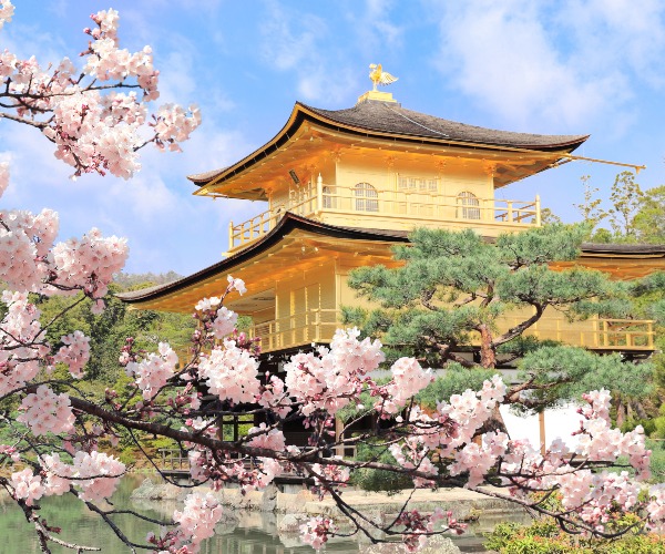 Kinakuji Golden Pavilion Kyoto