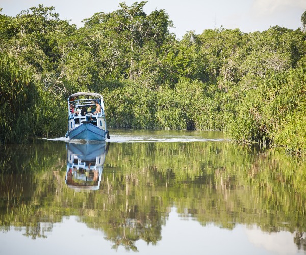 Klotok boat on Sekonyer River Tanjung Puting