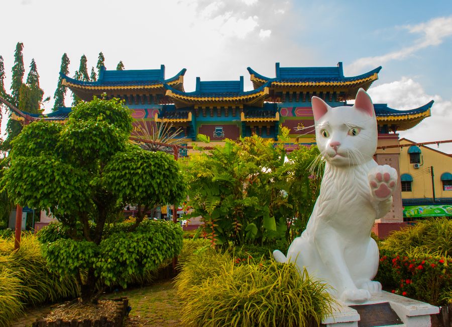 Kuching cat city