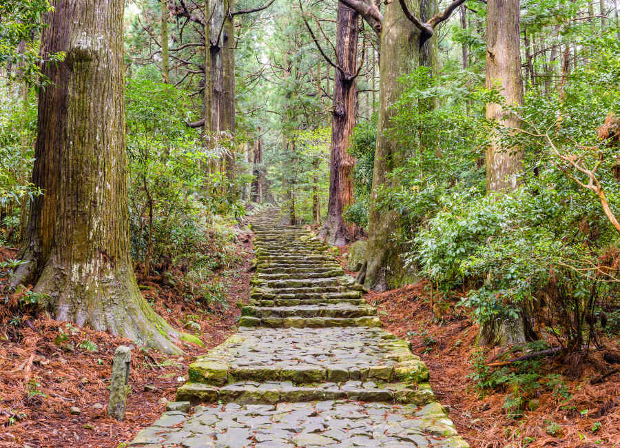 Kumano Kodo