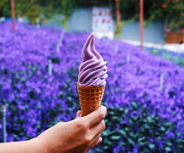 Lavender Ice Cream Cameron Highlands Malaysia