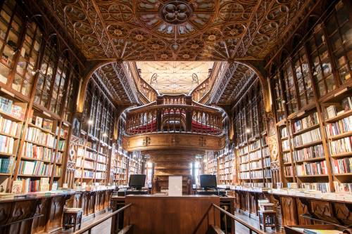 Lello Bookshop 500x333 1