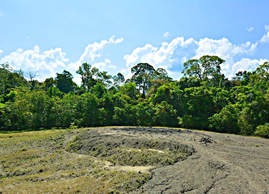 Lipad mud volcano Tabin Borneo