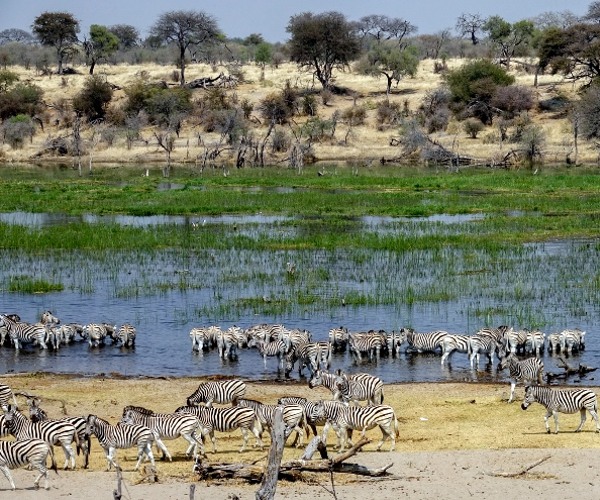 Makgadikgadi Pans National Park Blog Section Image