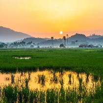 Malaysia Countryside Blog Listing Image