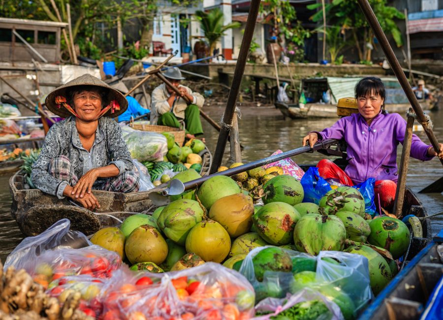 Mekong Delta 1