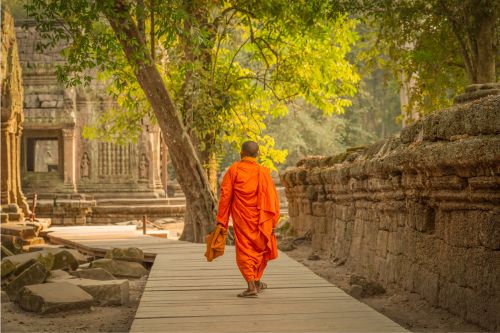 Monk in Ta Prohm Cambodia