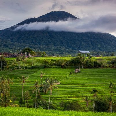 Mount Batukaru, Bali