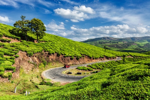 Munnar road